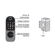 Cerrojo Biométrico Multifunción Smart