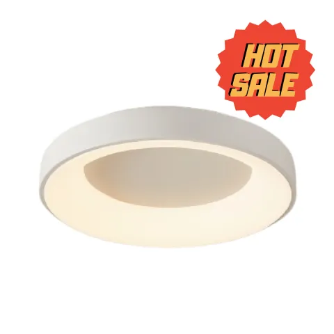 Plafon Rule HOT SALE!