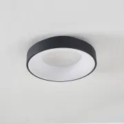Plafon Rule HOT SALE!